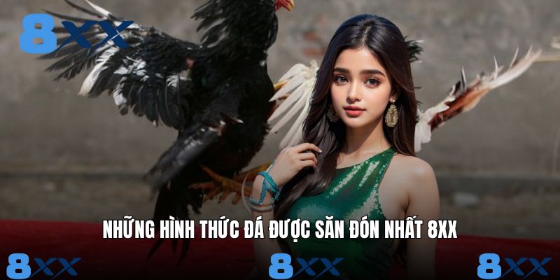 Review những hình thức chọi hot nhất có mặt trên nền tảng