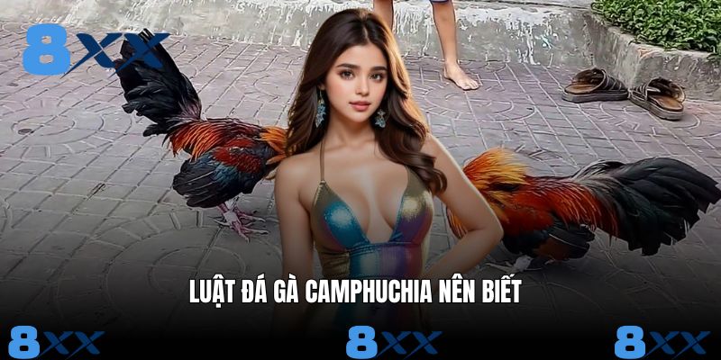 Luật đá mà tân binh nên nắm rõ khi tham gia kèo độ