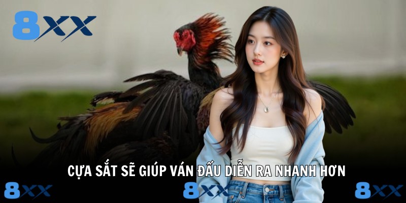 Cựa sắt sẽ giúp ván đấu diễn ra nhanh hơn