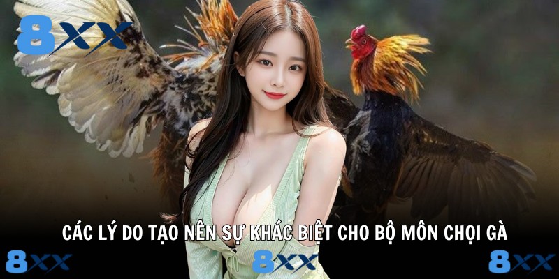 Các lý do tạo nên sự khác biệt cho bộ môn chọi gà
