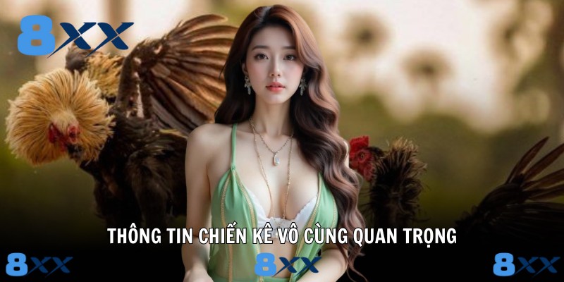 Thông tin chiến kê vô cùng quan trọng