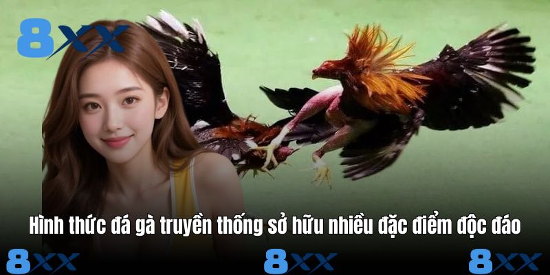Hình thức đá gà truyền thống sở hữu nhiều đặc điểm độc đáo