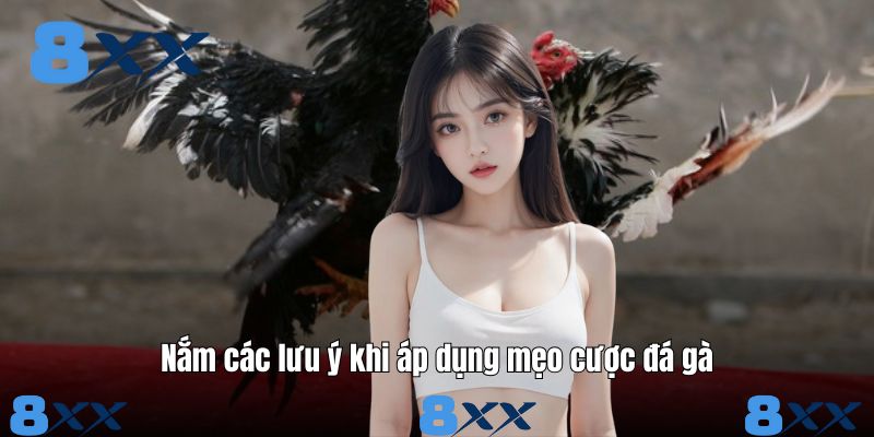 Nắm các lưu ý khi áp dụng mẹo cược đá gà